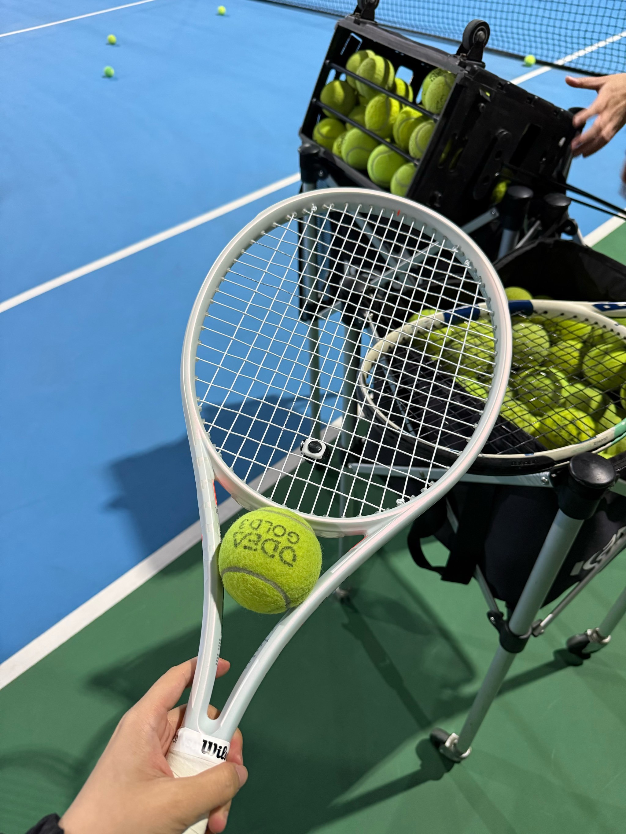 申花队教练 申花队教练